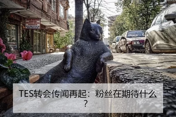 TES转会传闻再起：粉丝在期待什么？